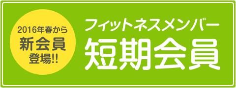 2016�N�t����V����o��I�I�t�B�b�g�l�X�����o�[�Z�����